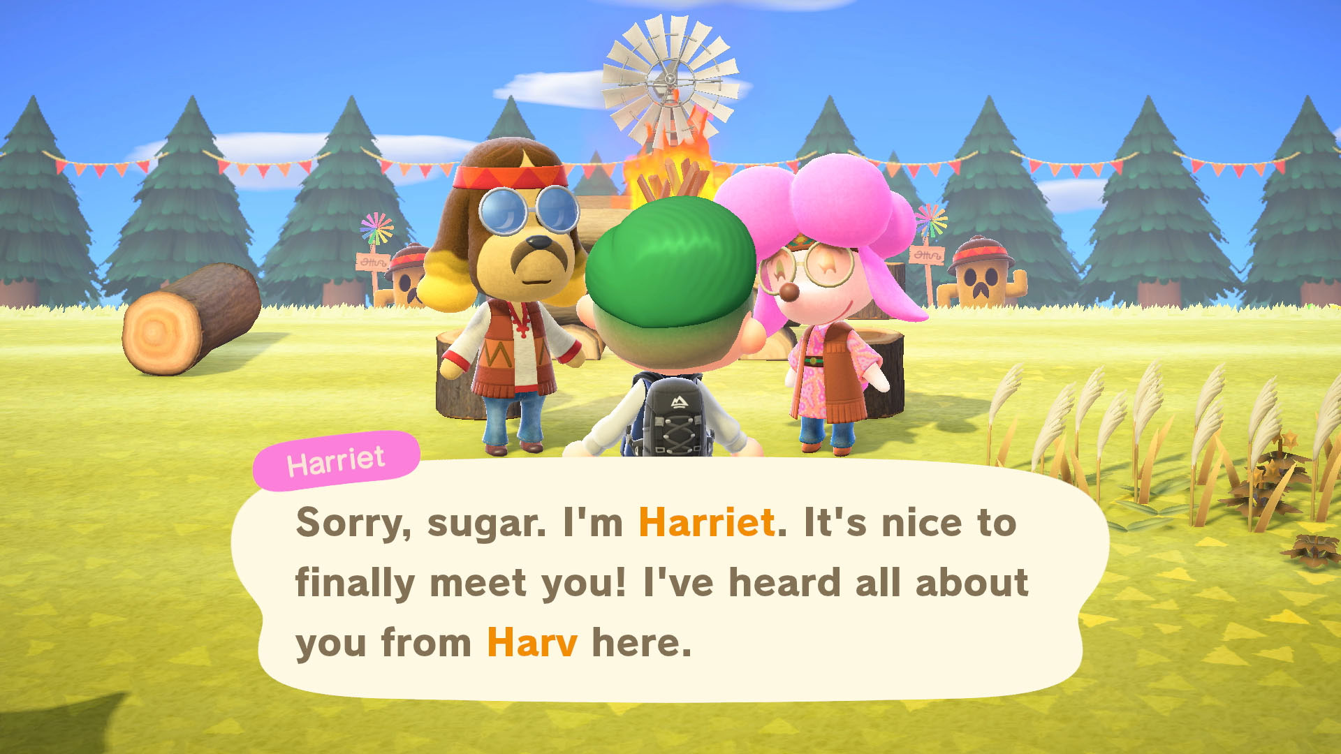 Animal Crossing: New Horizon update 2.0 features