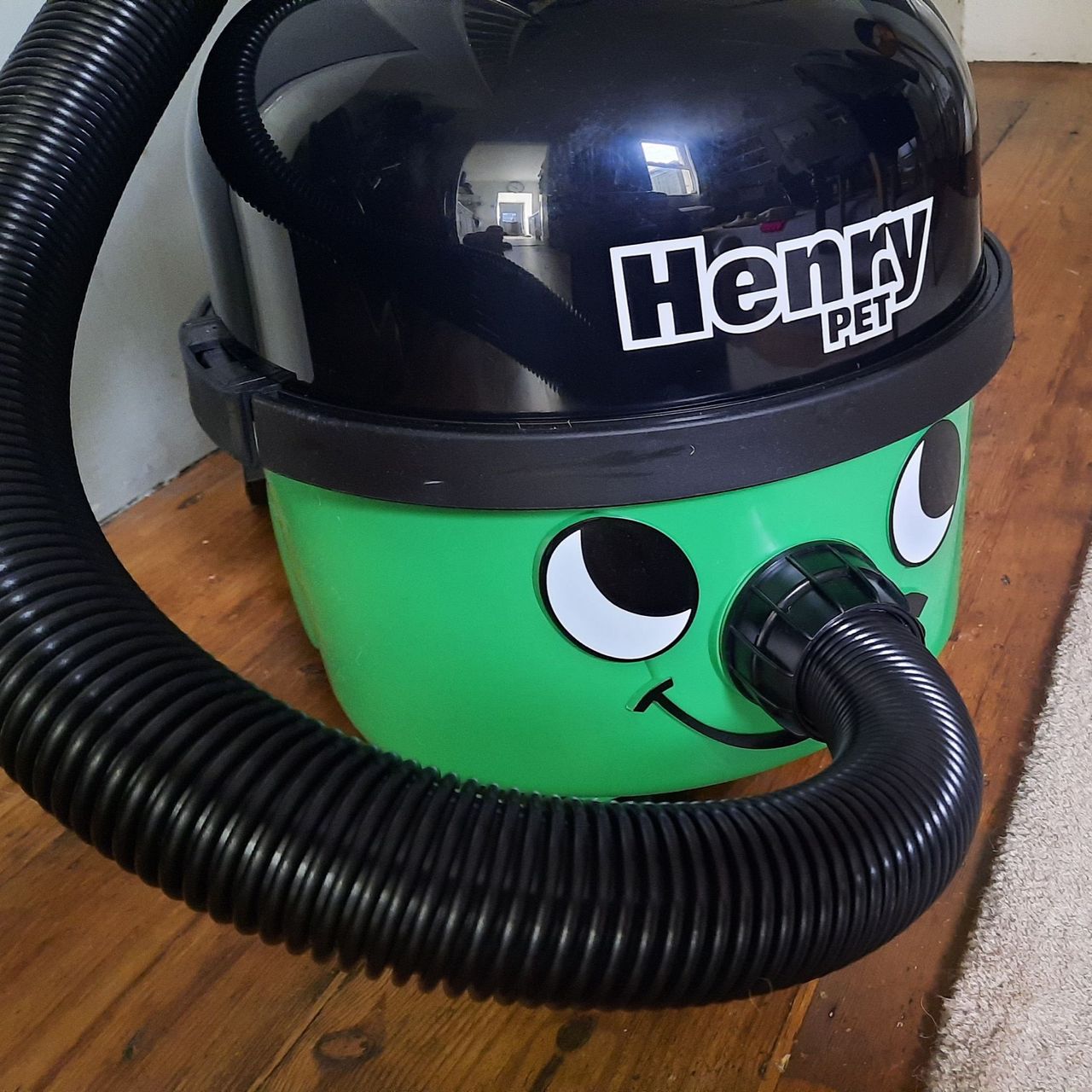 Henry Pet200 vacuum on wooden flooring