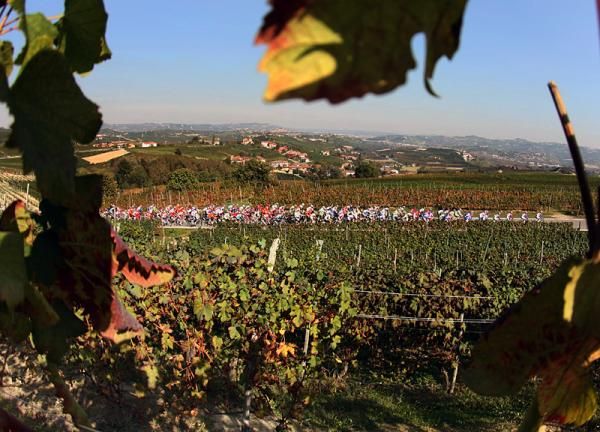The Giro del Piemonte peloton rolls through the vineyards of Barolo.