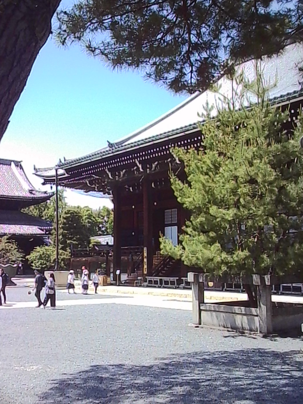Temple grounds in Japan with traditional wooden buildings and visitors walking nearby.