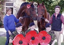 Poppy_horses.jpg