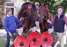 Poppy_horses.jpg