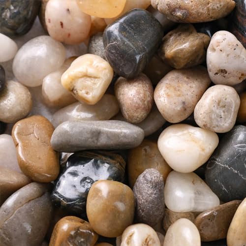 Vgoodall 450g Mixed Colour Pebbles for Plants, Polished River Stones Small Gravel Rocks for Potted Plants Garden Home Decor