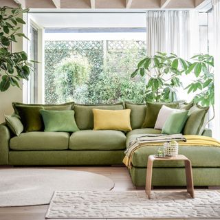 Green corner sofa with wood floors and windows behind