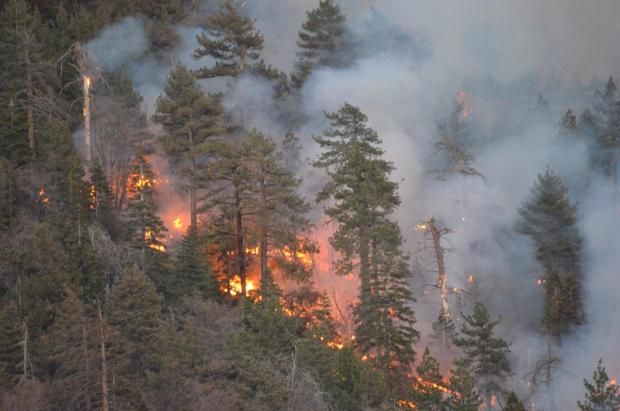 weather, wildfire season