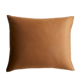 A brown pillowcase