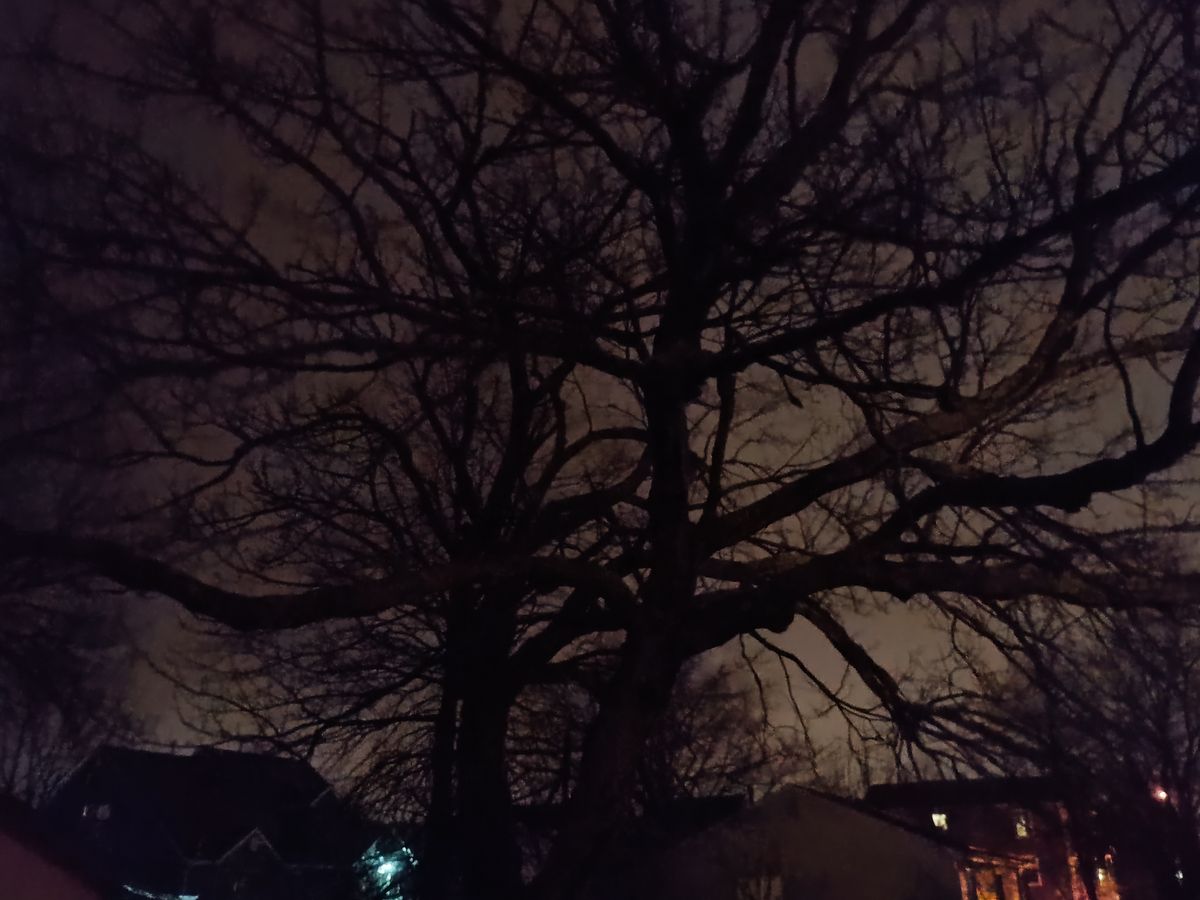 Moto G Power 2024 camera sample.
