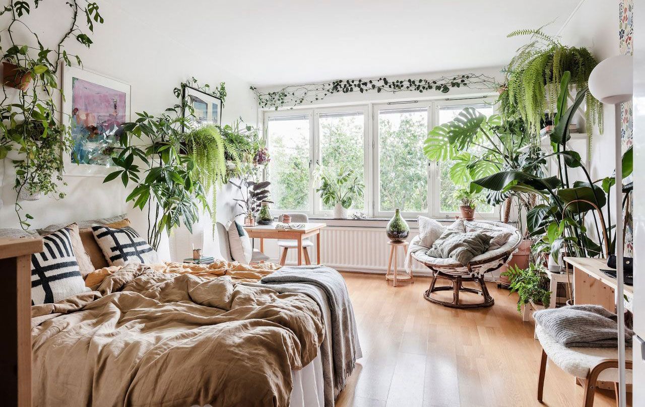 Open plan living room/bedroom with wood floors, large windows, white furniture and lots of houseplants