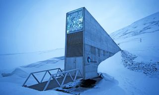 The Svalbard Global Seed Vault, located underground on a remote island in the Arctic Circle, is the world's largest security storage for seeds.