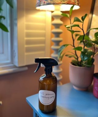 My geranium cleaning spray in an amber glass bottle with white lid and label on a blue sideboard against a background of terracotta painted wall with white bobby lamp and green plant in ribbed pot