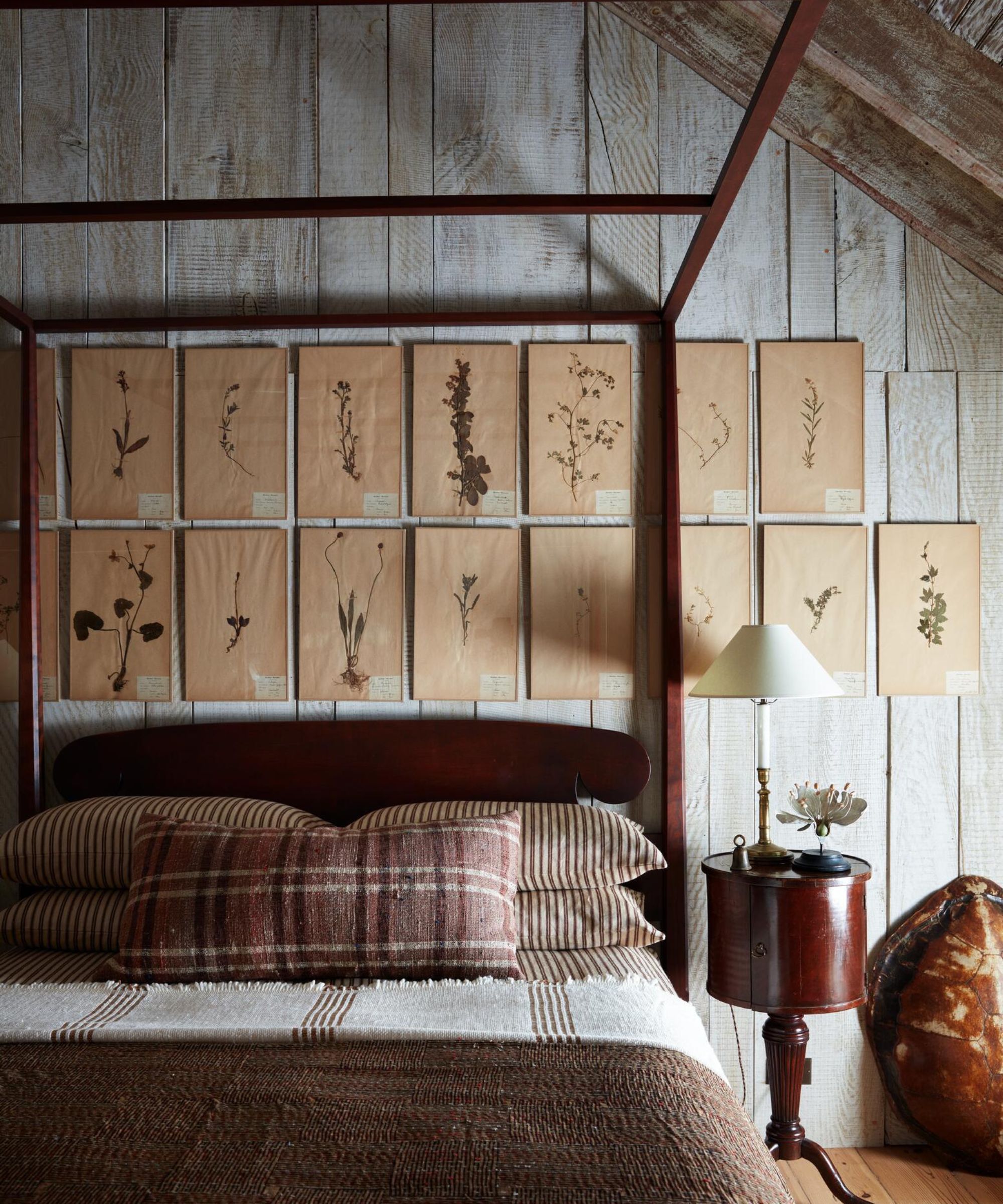 A cozy bedroom featuring a dark wood four-poster bed against a weathered white-paneled wall. Above the headboard, a grid of eighteen framed botanical herbarium specimens is displayed. A round antique side table holds a small lamp with a cream shade.
