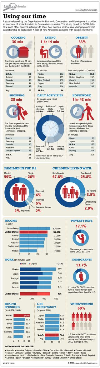 Average American Day Infographic