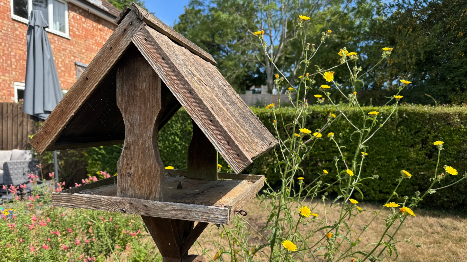 A bird feeder in a garden