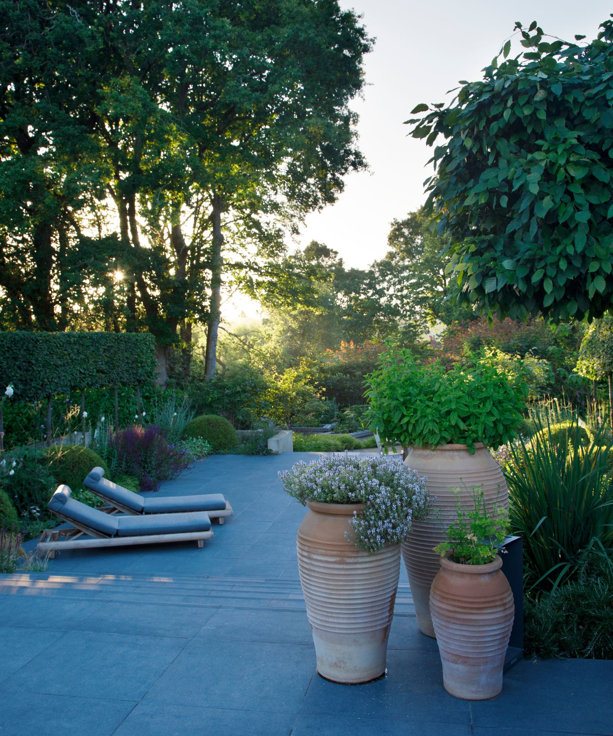 Garden with patio, three large terracotta pots and sun loungers