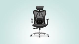 Sihoo ergonomic office chair review