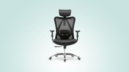 Sihoo ergonomic office chair review