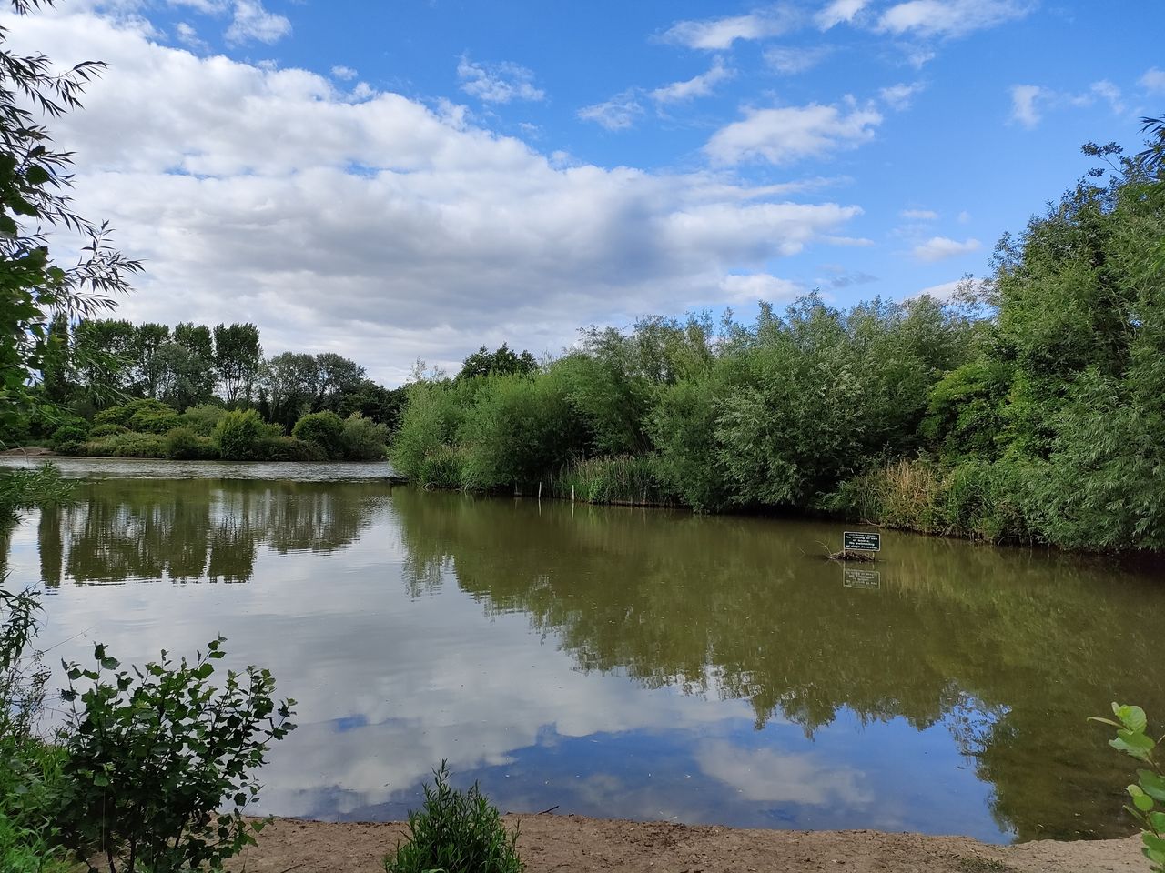 Realme GT Neo 3T camera samples