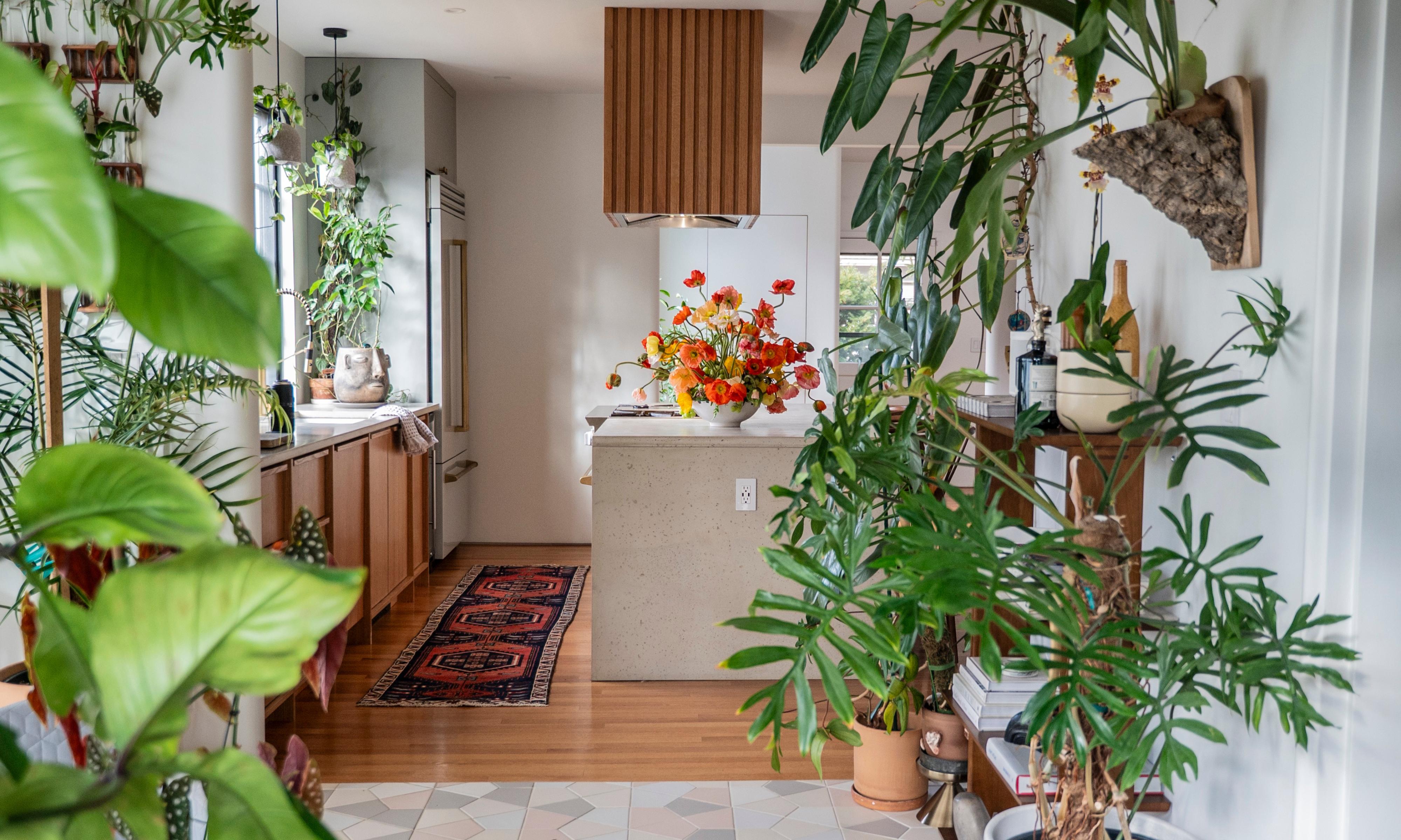 Display of Icelandic poppies on kitchen island, with large plants placed throughout a modern kitchen