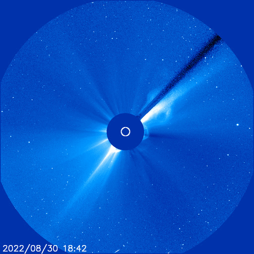 The powerful coronal mass ejection that hit Solar Orbiter ahead of its Venus flyby seen in this image from the Solar and Heliospheric Observatory (SOHO) spacecraft.