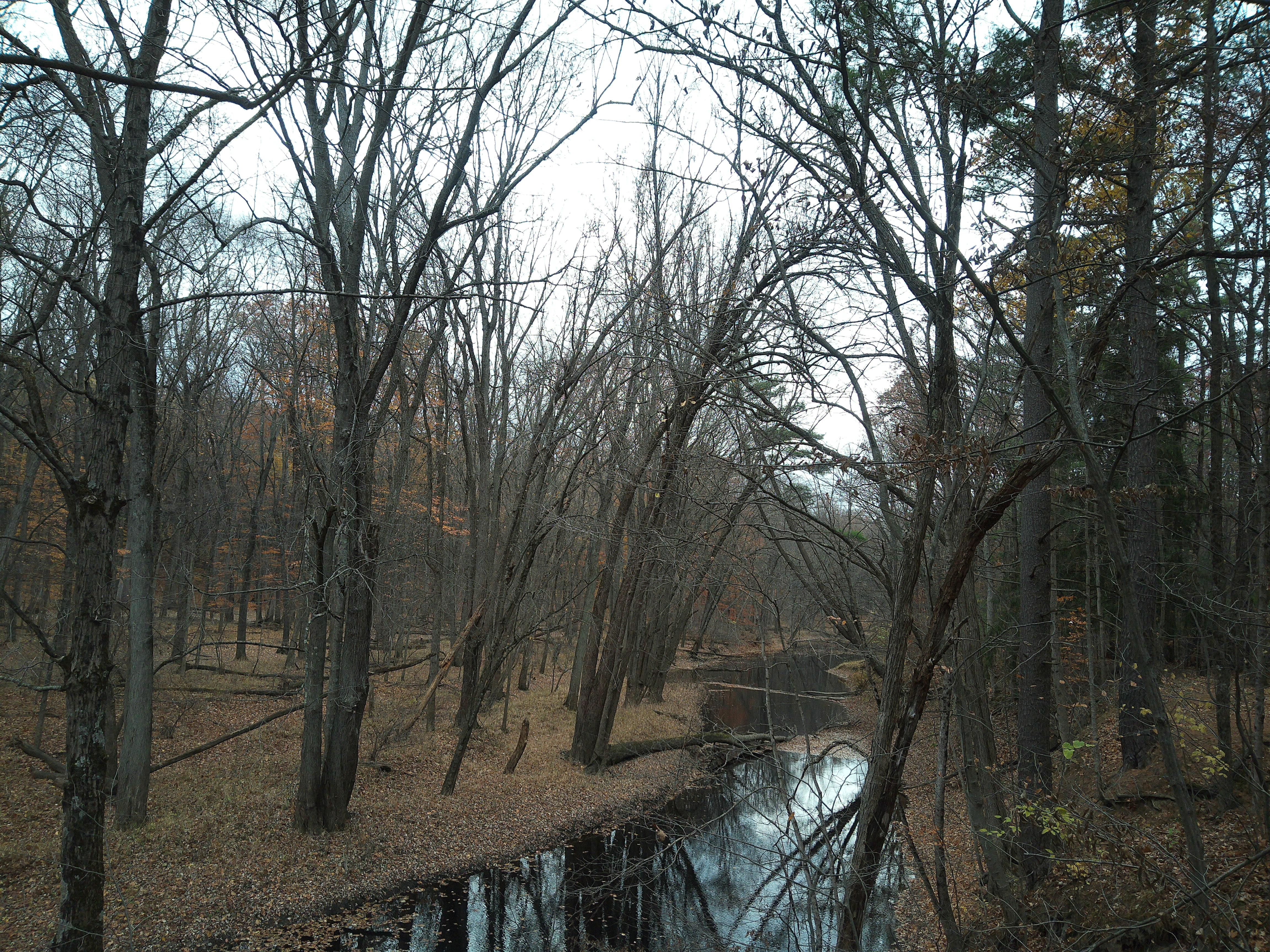 A sample image taken with the Camp Snap CS-Pro