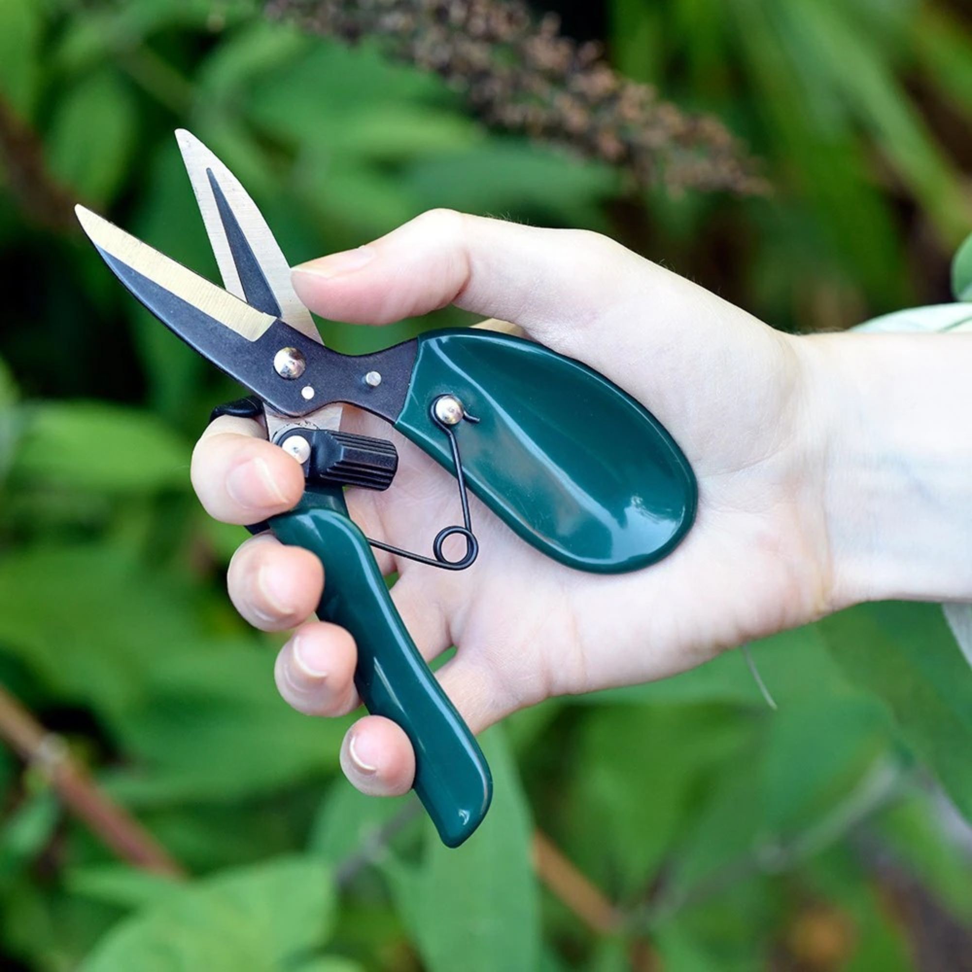 deadheader snips
