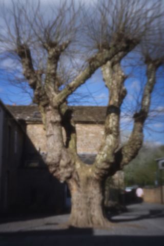 Thingyfy Pinhole Pro Max sample