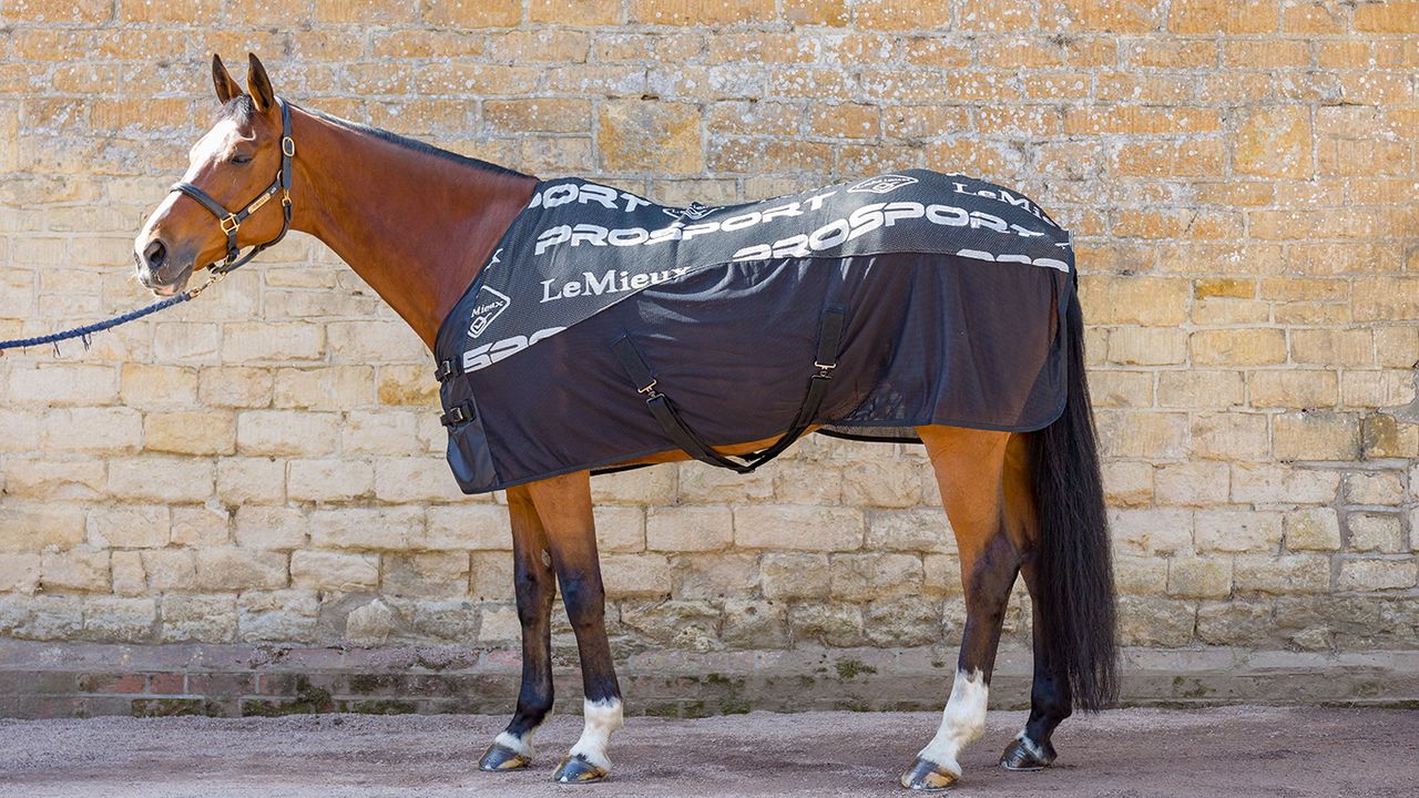 LeMieux Carbon cooler rug review
