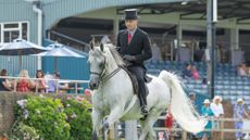 Champion. Will Morton and LVA WINTERS RASCAL in The Purebred Arabian Championship at The Agria Royal International Horse Show, The All England Jumping Course, Hickstead, Sussex, July 22nd 2026