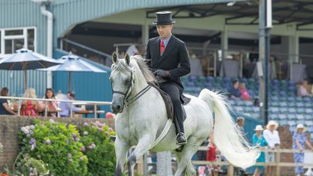 Champion. Will Morton and LVA WINTERS RASCAL in The Purebred Arabian Championship at The Agria Royal International Horse Show, The All England Jumping Course, Hickstead, Sussex, July 22nd 2026