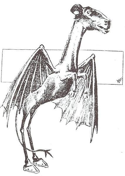 Jersey Devil: Impossible Animal of 