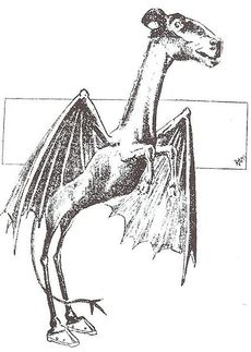 Jersey Devil