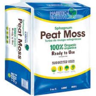Lowes organic peat moss