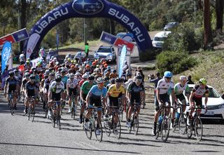 The peloton roll out from Launceston on Events Tasmania stage 3 of the Spirit of Tasmania Tour of Tasmania.