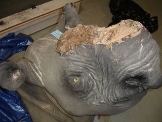 In December 2010, David Hausman told federal investigators that a black rhinocerous head bearing two valuable horns had been illegally sold by a Pennsylvania auction house. However, when Hausman found out the sale hadn’t gone through, he had a collaborato