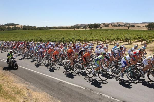The peloton rides past local vineyards in the Adelaide Hills.