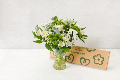 Morrisons Mother's Day letterbox flowers