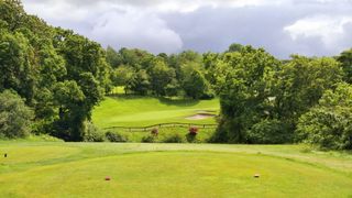 Par-3 5th at China Fleet