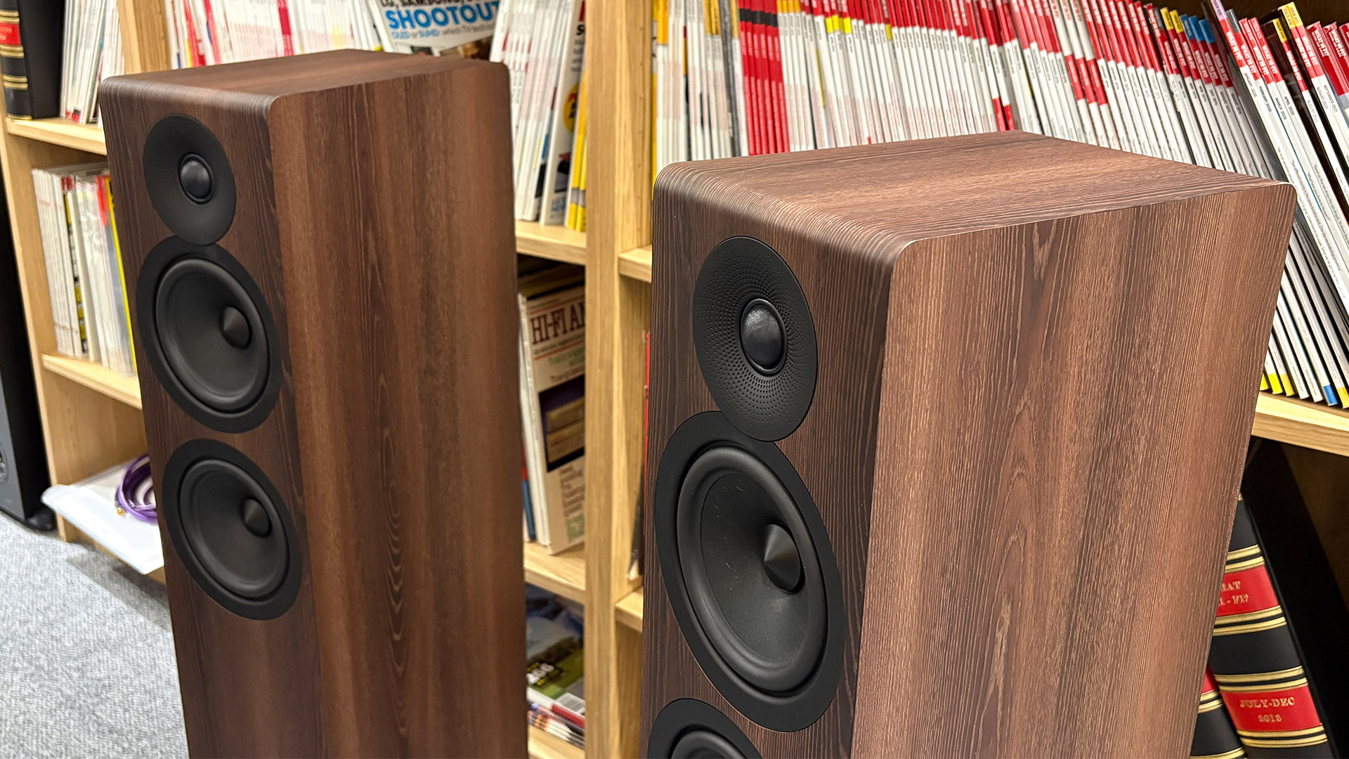 Acoustic Energy AE309 Mk2 floorstanding speakers in front of bookcase, detail of drive units