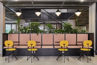 MYO SODA workspace open plan seating with plants