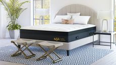 Nolah evolution mattress pictured in a white bedroom with light grey flooring, a white and blue geometric patterned rug, a large houseplant, two matching white lamps, and two large windows.