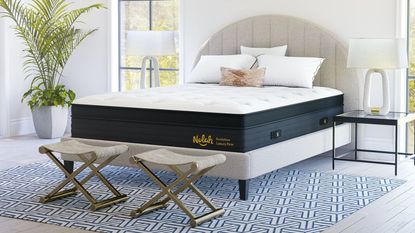 Nolah evolution mattress pictured in a white bedroom with light grey flooring, a white and blue geometric patterned rug, a large houseplant, two matching white lamps, and two large windows.