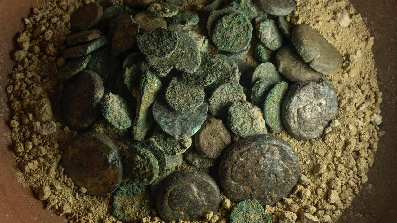 a pile of coins in the dirt