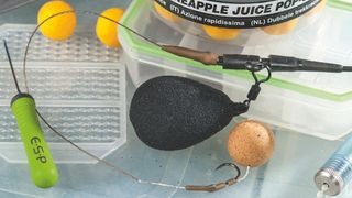 Setting up a simple carp rig