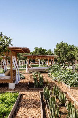Atzaró Agroturismo Hotel gardens