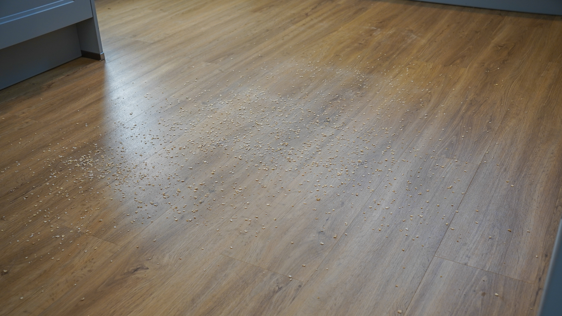 Oats on a wooden floor before the oat suction test