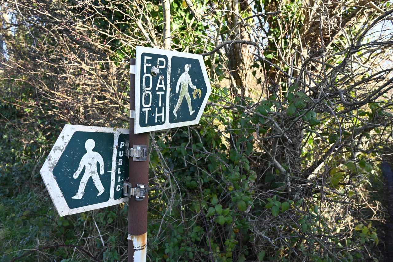 Nikon Z 28mm f/2.8 SE sample image