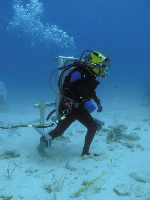 NASA&#039;s NEEMO 9: Remote Surgery and Mock Moonwalks on the Sea Floor