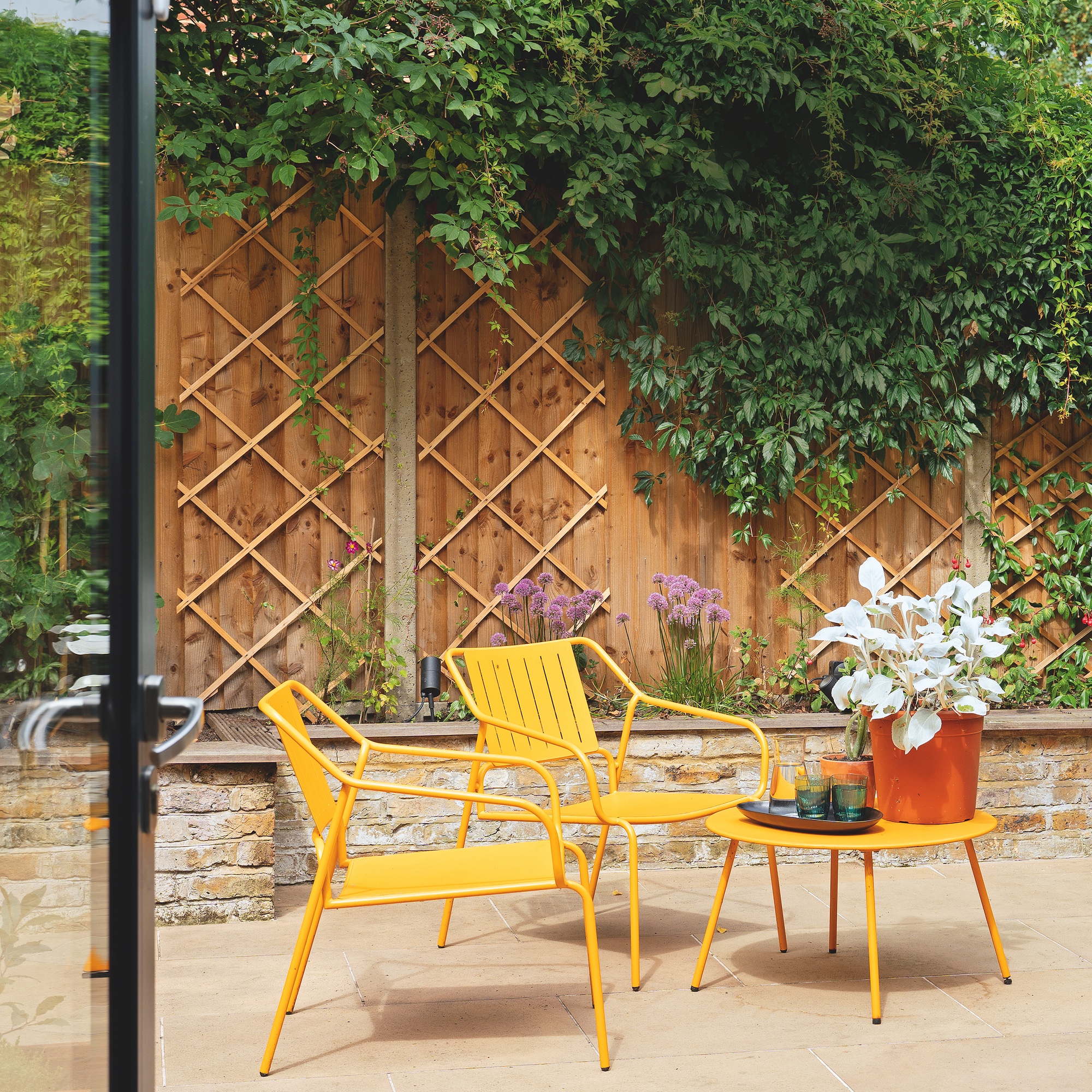 courtyard garden with yellow contemporary garden chairs and small table, with garden fence with climbing plants