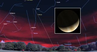 april 2020 night sky Venus at Maximum Brightness