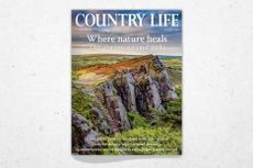 Cover of Country Life August 5, 2026